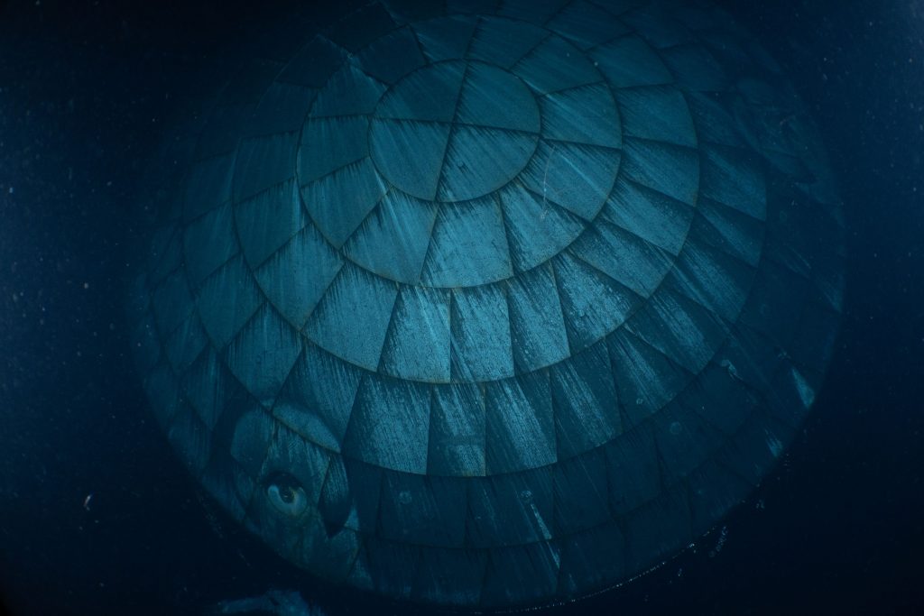 Підводні знімки теплового екрану космічного корабля Orion
