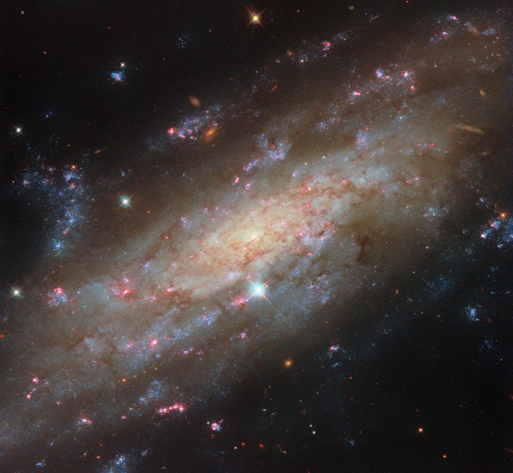 Спіральна галактика NGC 3137 на тлі далеких галактик