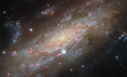 Спіральна галактика NGC 3137 на тлі далеких галактик