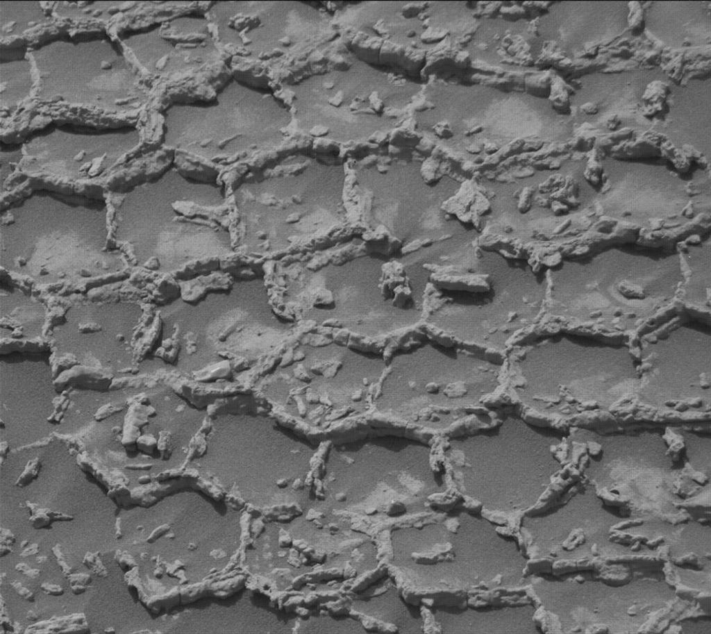 Полігональні структури на поверхні Марса, зняті камерою Mastcam марсохода Curiosity. Мережа піднятих кам'янистих хребтів утворює замкнені багатокутники, між якими заглибини заповнені темним піском.