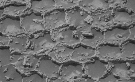 Полігональні структури на поверхні Марса, зняті камерою Mastcam марсохода Curiosity. Мережа піднятих кам'янистих хребтів утворює замкнені багатокутники, між якими заглибини заповнені темним піском.
