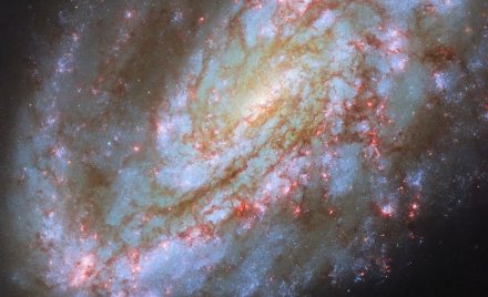 Асиметрична спіральна галактика NGC 4654 з яскравим переднім рукавом і майже порожнім протилежним боком диска на тлі темного космічного простору.