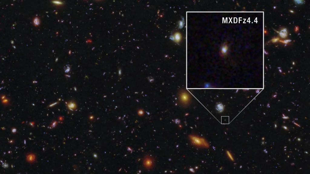 MXDFz4.4