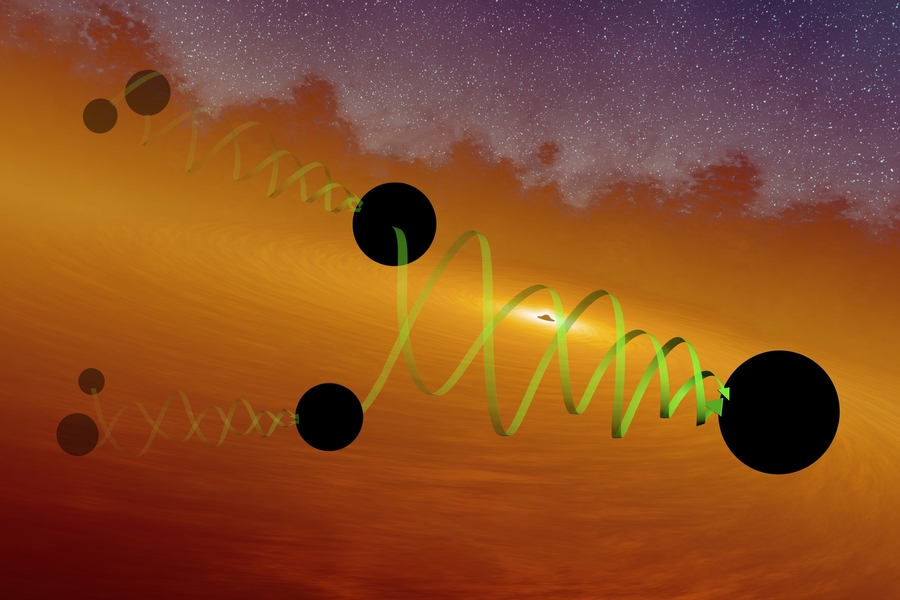 Black Holes