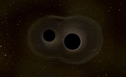 Black Holes